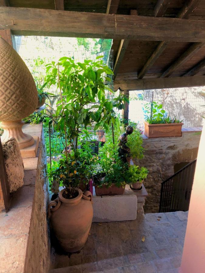 B&B La Fontana Di Pegaso Tivoli Exterior photo